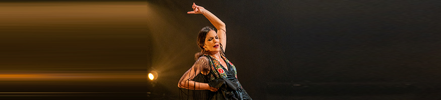 Cristina Espiritu Flamenco